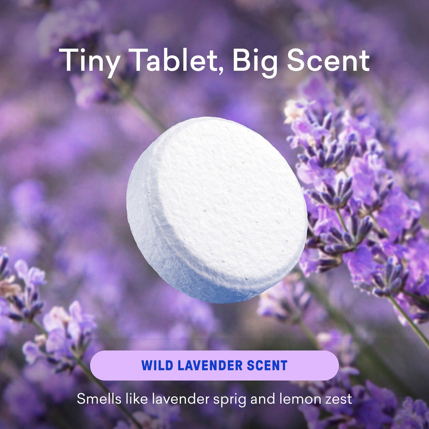 Toilet Bowl Cleaner Tablet Refills - US 9251